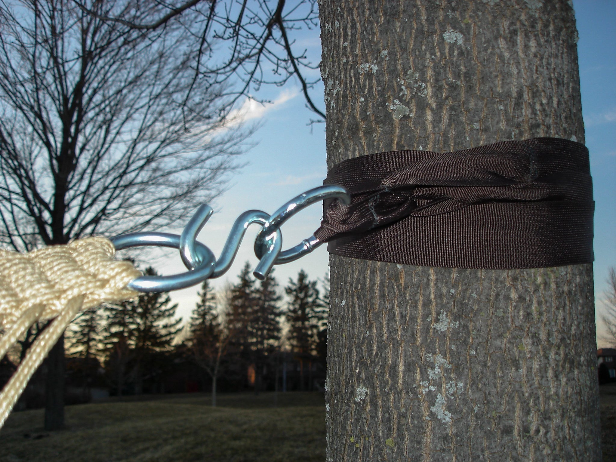 straps to support trees at isabella obrien blog Images... Eco Friendly Tree Straps - Oz Hammocks